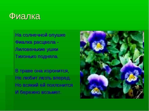 Презентация на тему "Стихи о цветах" по литературе