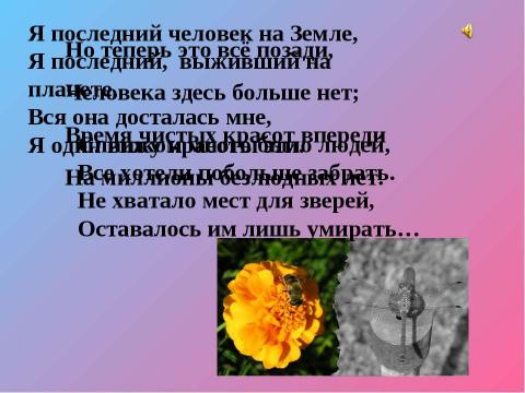 Презентация на тему "экологическая безопасность" по экологии