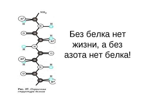 Презентация на тему "Характеристика азота как химического элемента и простого вещества" по химии