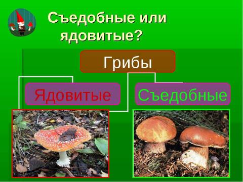 Презентация на тему "Грибное царство Смоленских борков" по начальной школе