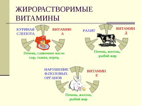 Презентация на тему "Обмен веществ" по биологии