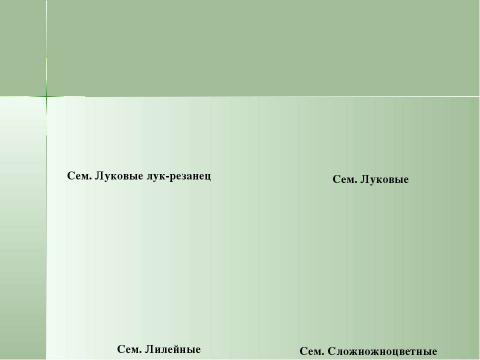 Презентация на тему "Учебно-опытническая работа на пришкольном участке" по педагогике