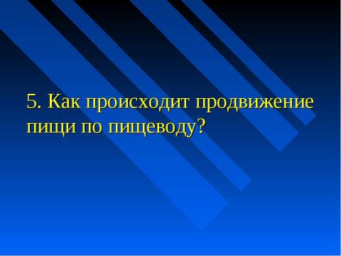 Презентация на тему "Изменение питательных веществ в кишечнике" по биологии