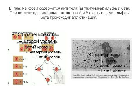 Презентация на тему "Тканевая совместимость и переливание крови" по биологии