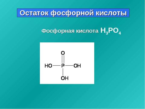 Презентация на тему "Нуклеиновые кислоты 9 класс" по химии