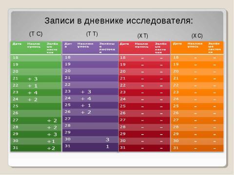 Презентация на тему "Росток – начало жизни" по биологии