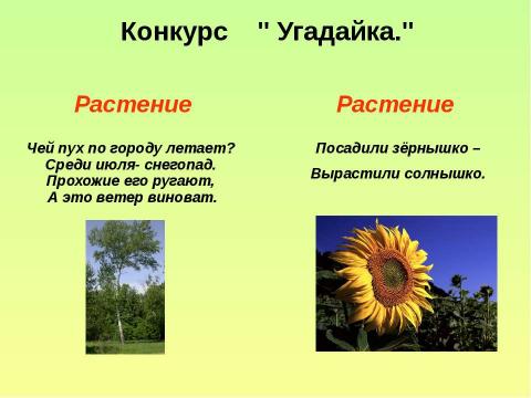 Презентация на тему "Судьба природы-наша судьба" по начальной школе