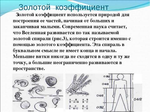 Презентация на тему "Числа Фибоначчи" по математике