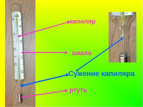 Презентация на тему "Температура живых существ" по биологии