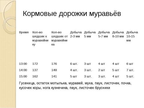 Презентация на тему "Муравьи" по географии