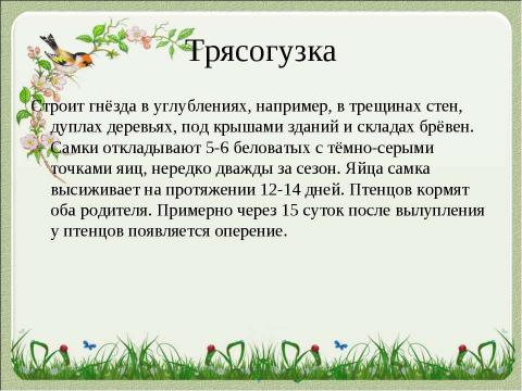 Презентация на тему "Летят перелётные птицы" по начальной школе