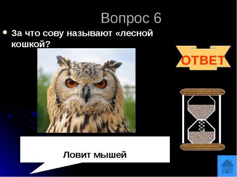 Презентация на тему "Окружающий мир. Животные" по начальной школе