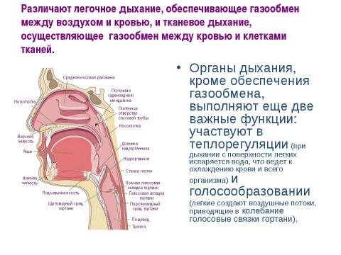 Презентация на тему "вода" по физике