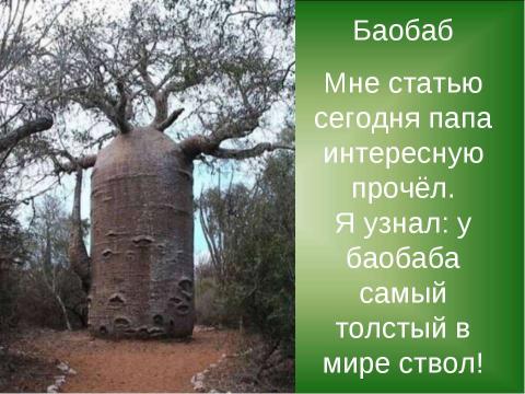 Презентация на тему "Пластилиновая страна" по технологии