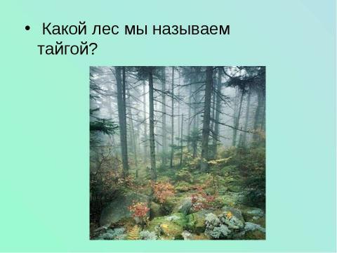 Презентация на тему "Лес и человек" по окружающему миру