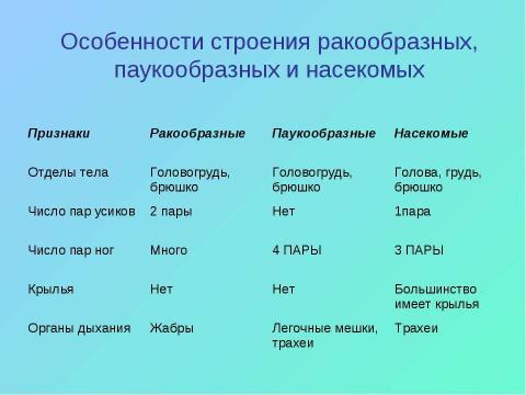 Презентация на тему "Тип Членистоногие" по биологии