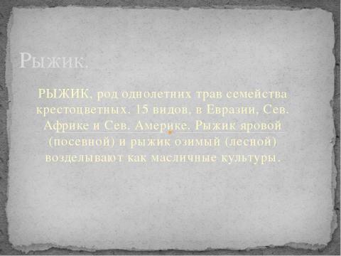 Презентация на тему "Крестоцветные" по биологии