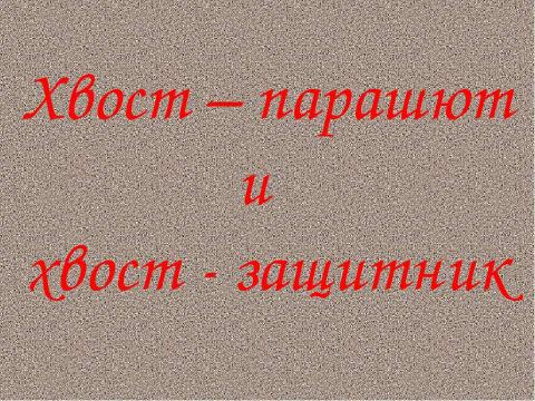 Презентация на тему "Зачем животным нужны хвосты? 5 класс" по окружающему миру