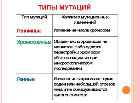 Презентация на тему "Основы молекулярной генетики" по биологии