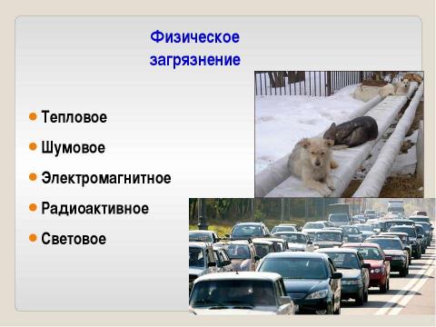 Презентация на тему "Антропогенная нагрузка и устойчивость ландшафта" по географии