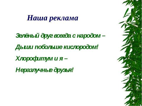 Презентация на тему "Зелёный друг" по окружающему миру