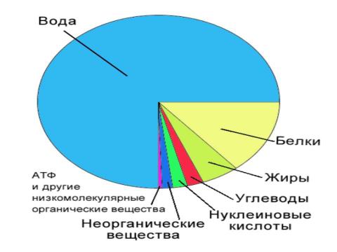 Презентация на тему "Пищевые продукты, питательные вещества и их превращения в организме" по биологии