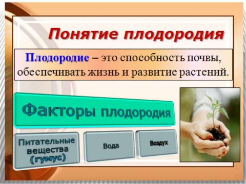 Презентация на тему "Почва 6 класс" по окружающему миру