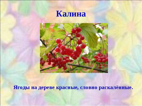 Презентация на тему "Почему они так называются?" по окружающему миру