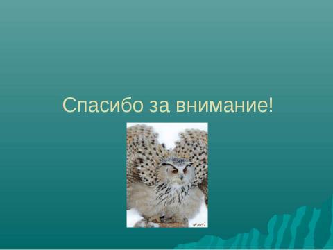 Презентация на тему "Кем быть: «совой», «жаворонком» или счастливым человеком?" по обществознанию