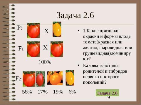 Презентация на тему "Электронный задачник по генетике Часть 2" по биологии