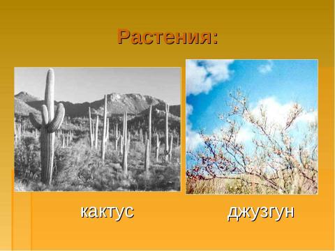 Презентация на тему "Природные зоны России. Зона пустынь" по окружающему миру