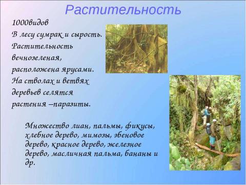 Презентация на тему "Природные зоны Африки 7 класс" по географии