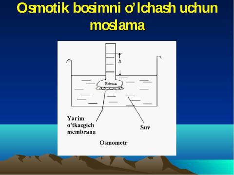 Презентация на тему "митоз" по медицине