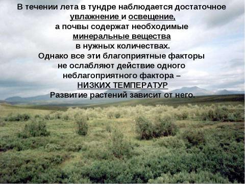 Презентация на тему "Общие законы действия факторов среды на организм" по биологии