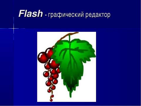 Презентация на тему "Использование Flash технологии в преподавании информатики" по информатике