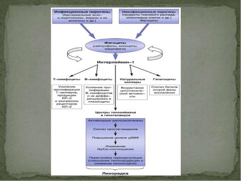 Презентация на тему "Дифференциальная диагностика заболеваний, протекающих с лихорадкой" по медицине