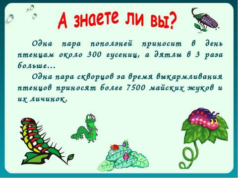 Презентация на тему "Как животные питаются 3 класс" по окружающему миру