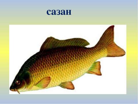 Презентация на тему "Знакомство с буквой Ф, ф" по начальной школе