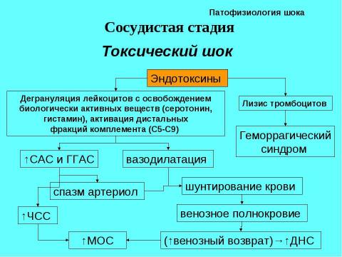 Презентация на тему "Шок в хирургии" по медицине