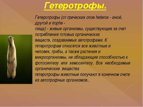 Презентация на тему "Питание клетки" по биологии