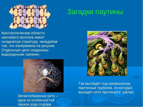 Презентация на тему "Из чего состоит паутина?" по химии