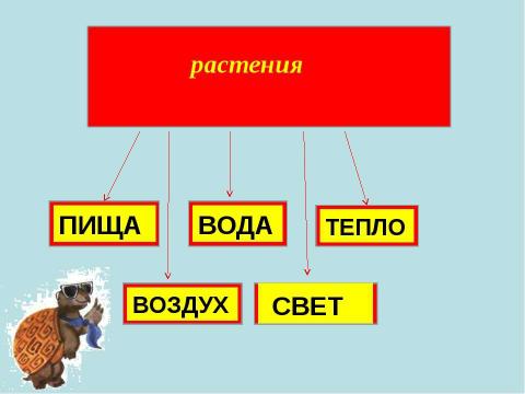 Презентация на тему "Как живут растения?" по биологии