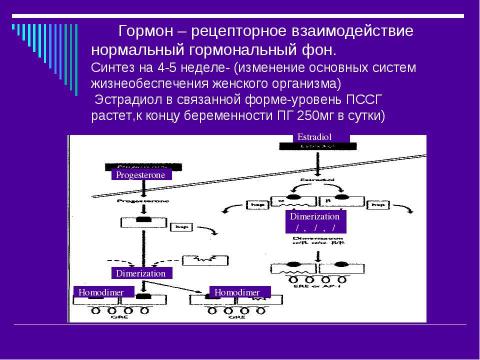 Презентация на тему "Эндокринология беременности" по медицине