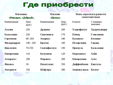 Презентация на тему "Озеленение нашего дома" по начальной школе