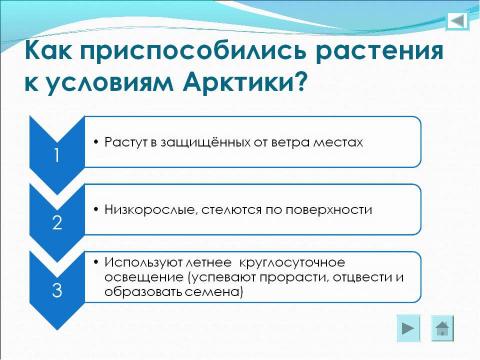 Презентация на тему "Арктика" по географии