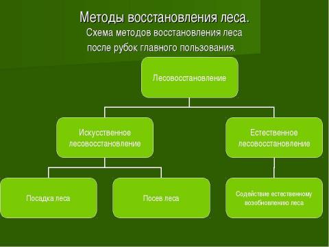 Презентация на тему "Восстановление и формирование леса" по биологии