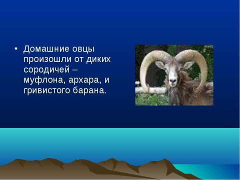 Презентация на тему "Происхождение животных и их дикие предки и сородичи" по биологии