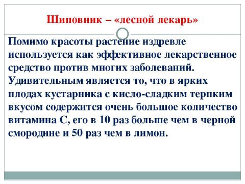 Презентация на тему "Вести из леса о шиповнике" по биологии