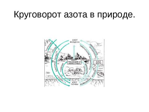 Презентация на тему "Характеристика азота как химического элемента и простого вещества" по химии