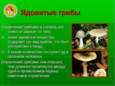 Презентация на тему "Грибное царство Смоленских борков" по начальной школе